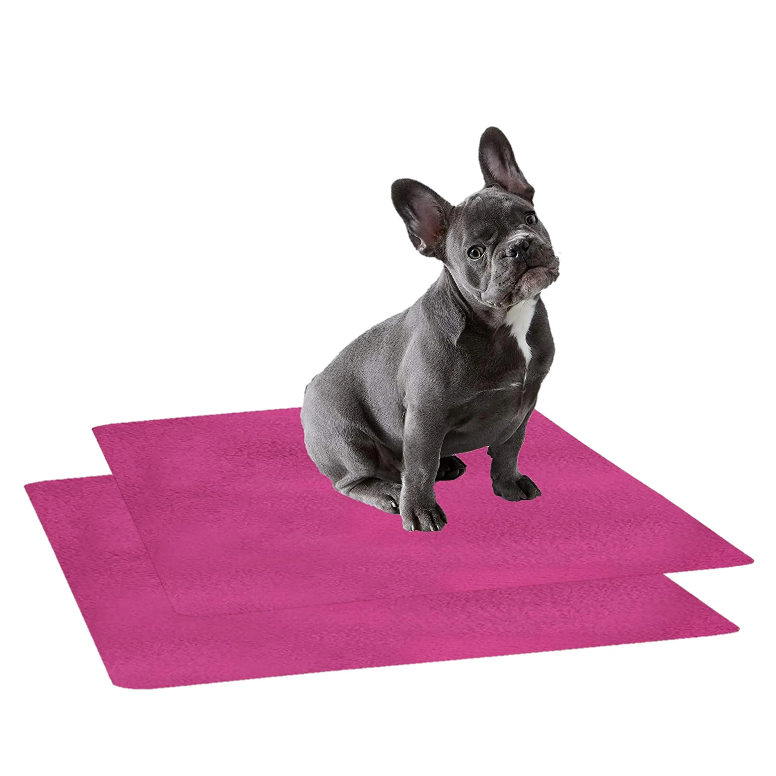 Waterproof Pet Training Puppy Pad (Small & Pack of 2)