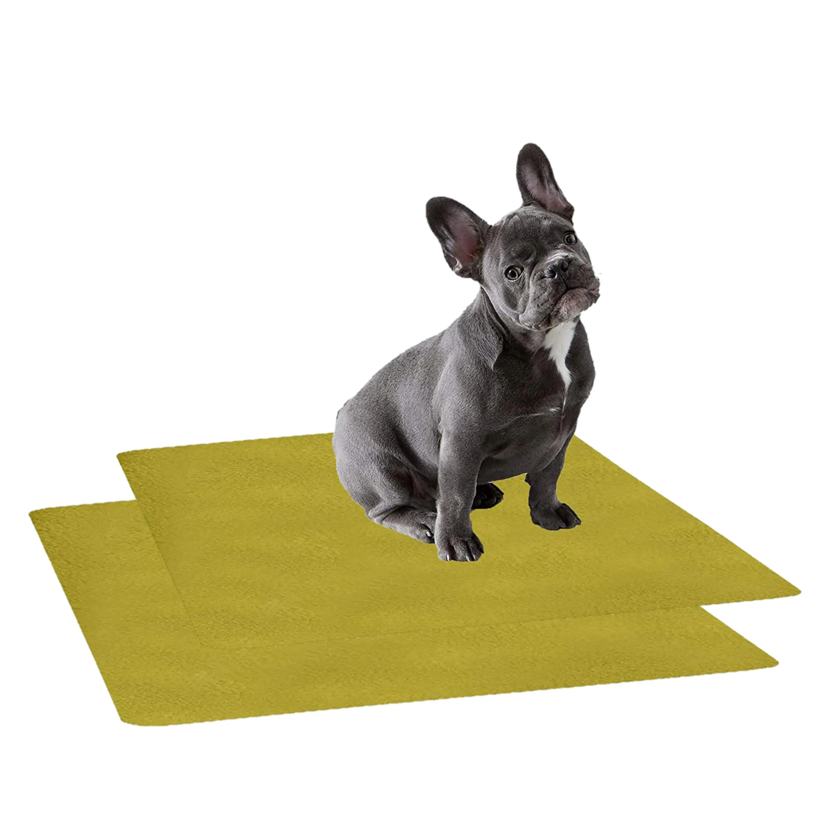 Waterproof Pet Training Puppy Pad (Small & Pack of 2)