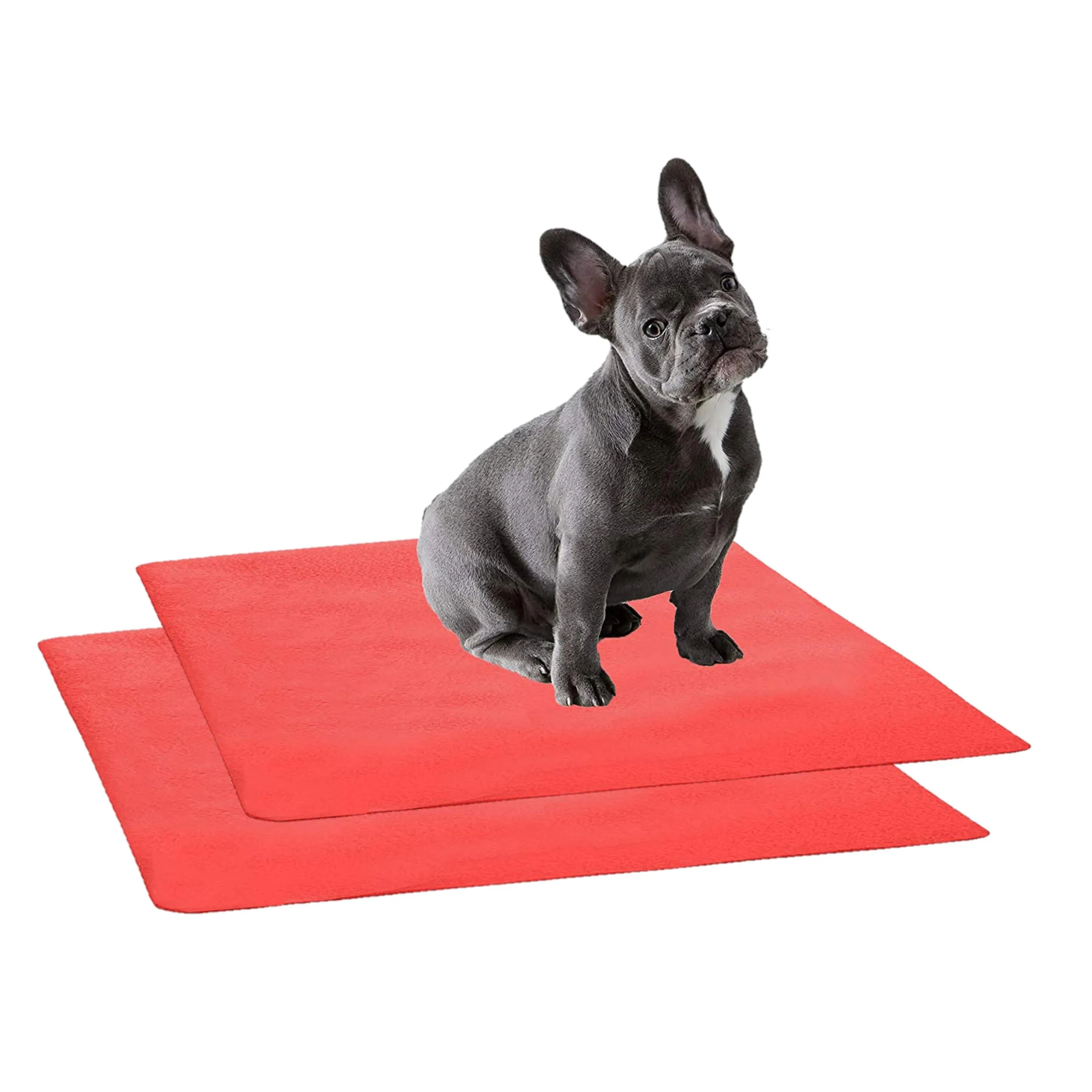 Waterproof Pet Training Puppy Pad (Small & Pack of 2)