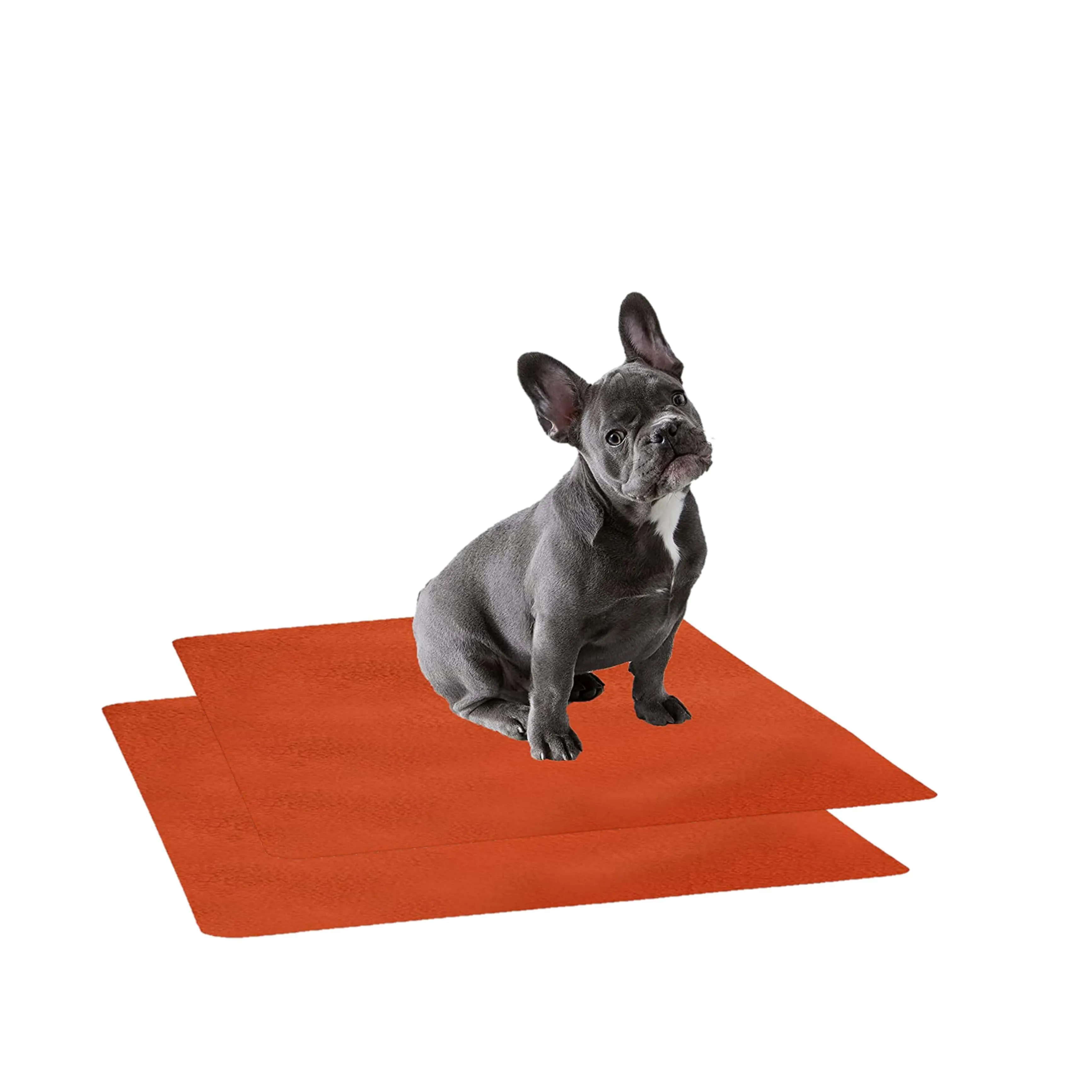 Waterproof Pet Training Puppy Pad (Small & Pack of 2)