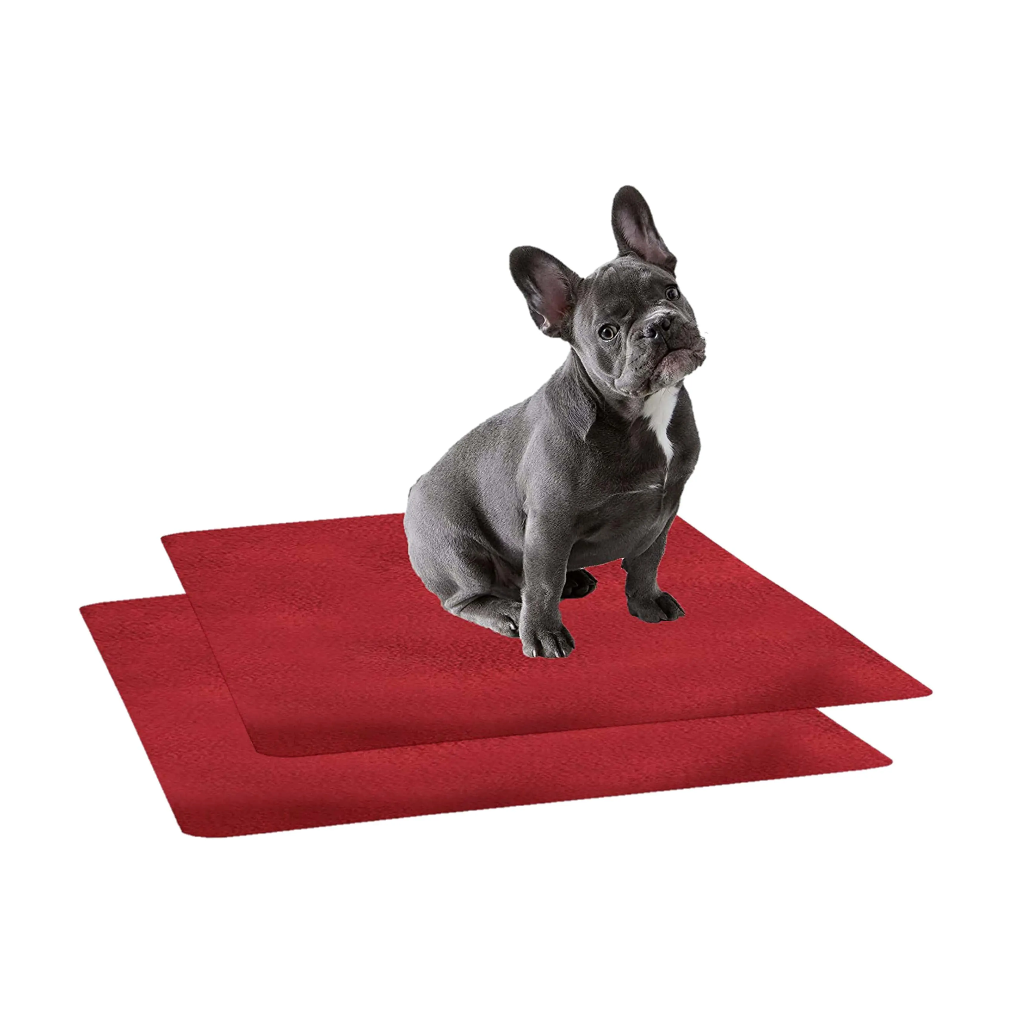 Waterproof Pet Training Puppy Pad (Small & Pack of 2)