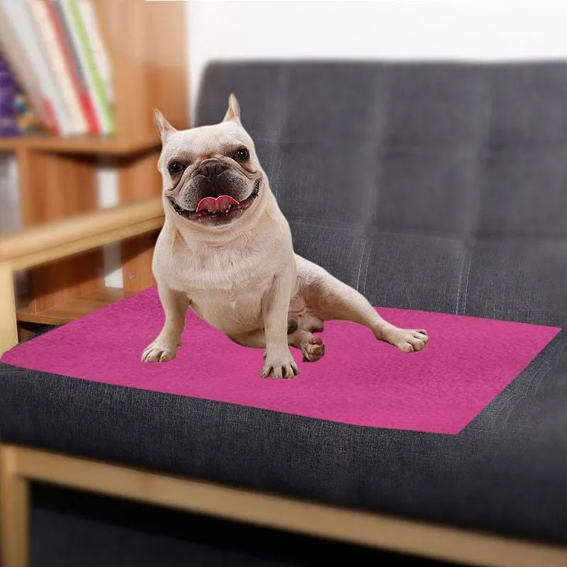 Waterproof Pet Training Puppy Pad (Small & Pack of 2)